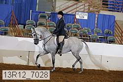13r12_7028 proof