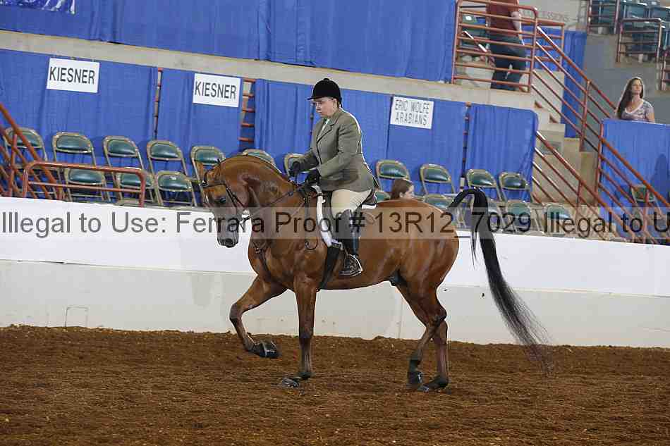 Proof 13r12_7029