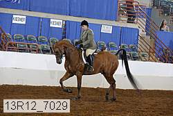 13r12_7029 proof
