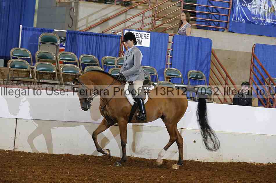 Proof 13r12_7032
