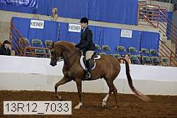 13r12_7033 proof