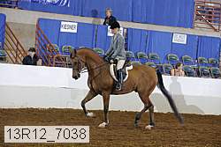 13r12_7038 proof