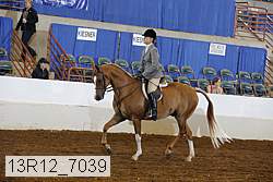 13r12_7039 proof