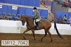 13r12_7042 proof