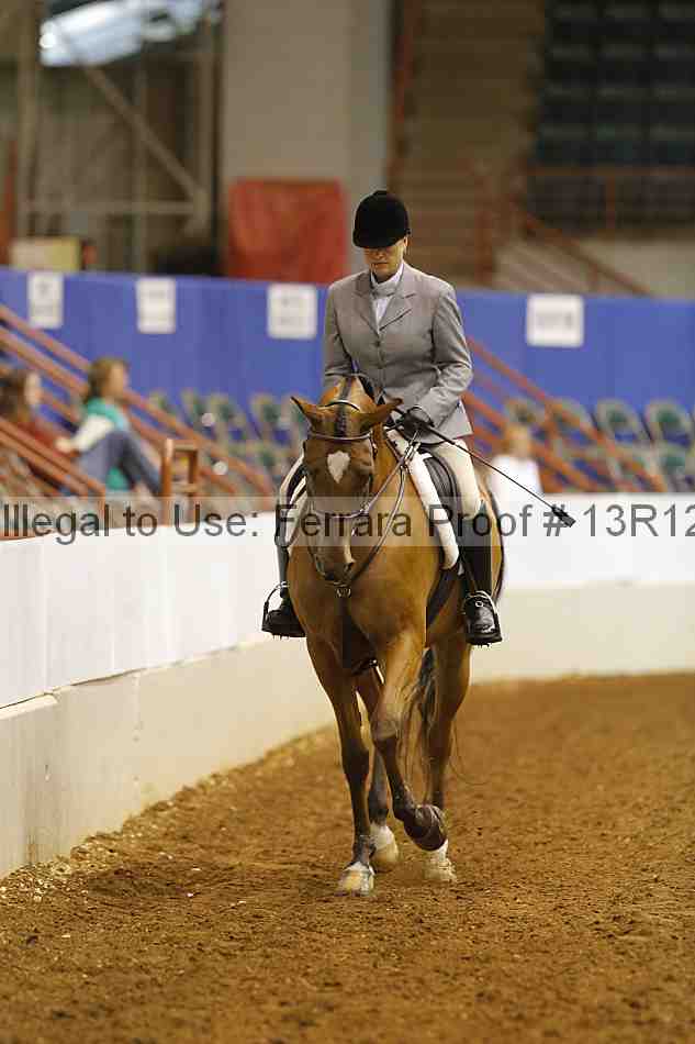 Proof 13r12_7045