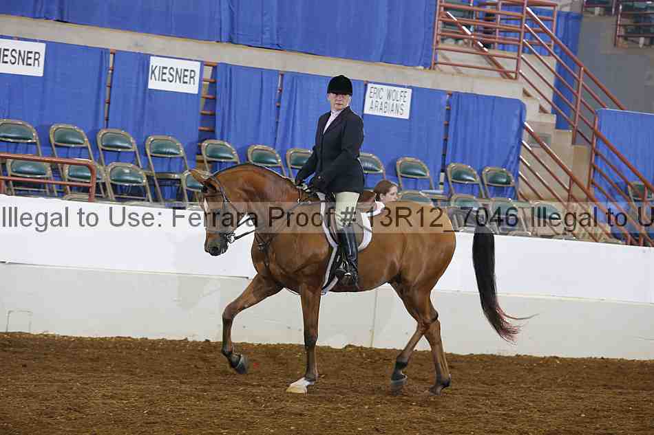 Proof 13r12_7046