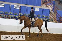 13r12_7046 proof