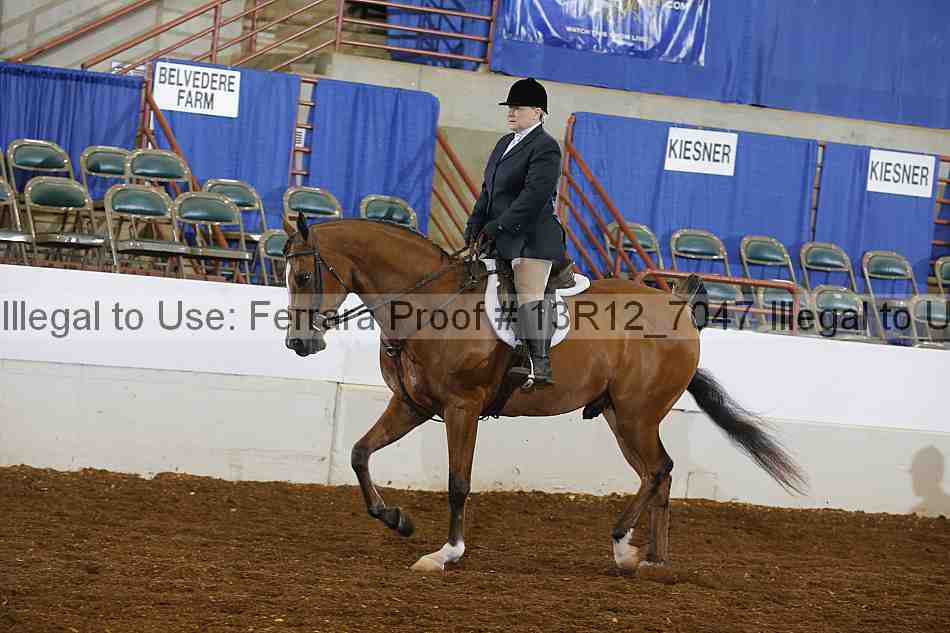 Proof 13r12_7047