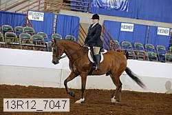 13r12_7047 proof
