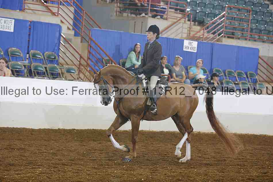 Proof 13r12_7048