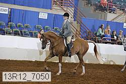13r12_7050 proof