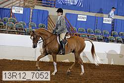 13r12_7052 proof