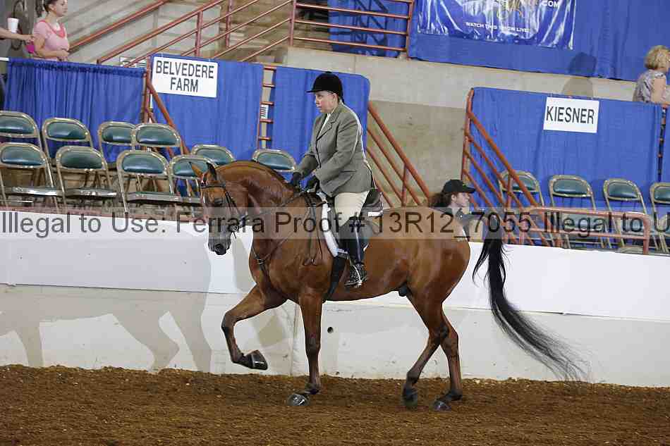 Proof 13r12_7055