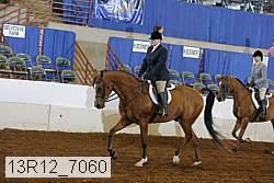 13r12_7060 proof