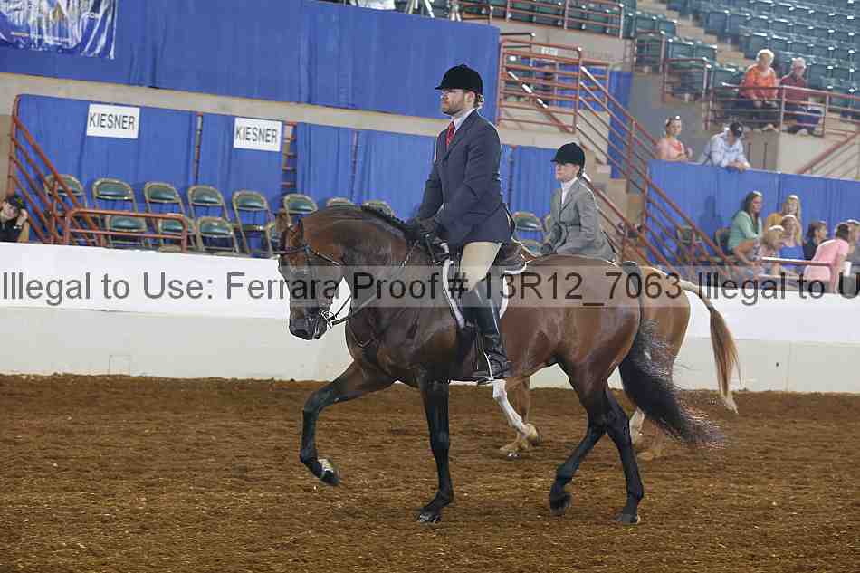 Proof 13r12_7063