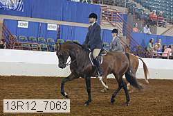 13r12_7063 proof