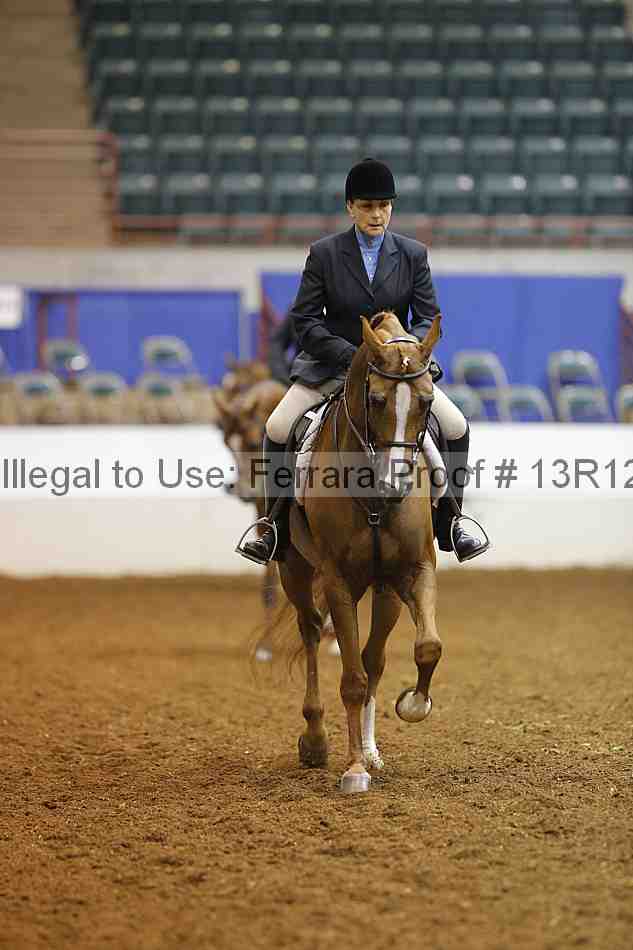 Proof 13r12_7065