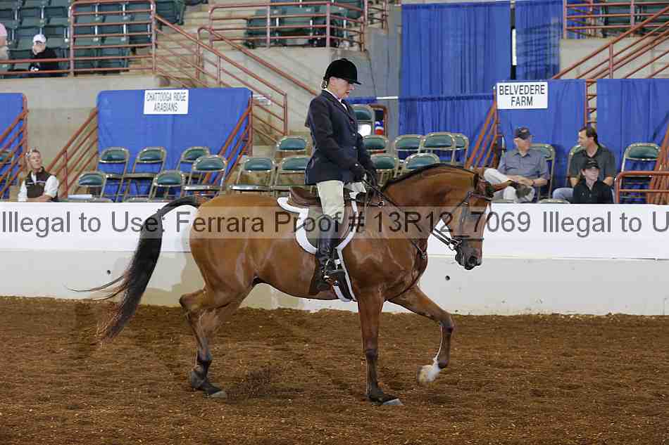 Proof 13r12_7069