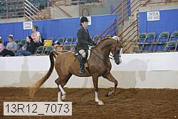 13r12_7073 proof