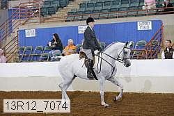 13r12_7074 proof