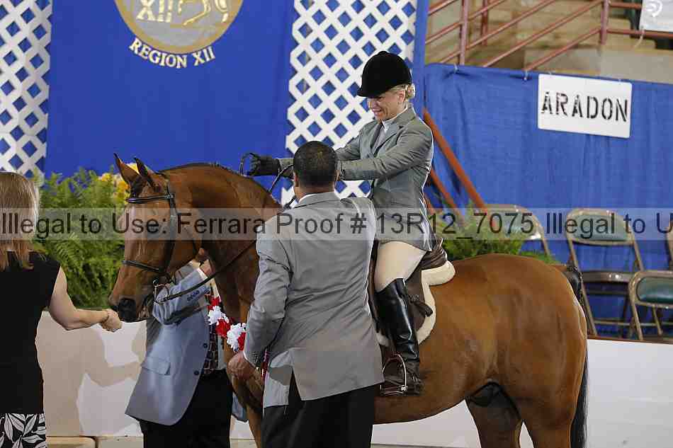 Proof 13r12_7075