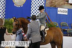 13r12_7075 proof