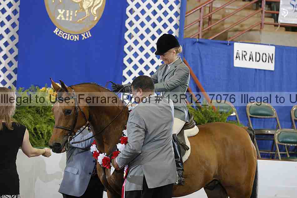 Proof 13r12_7076