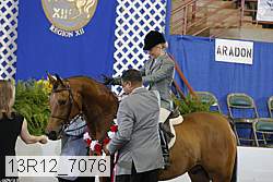 13r12_7076 proof