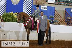 13r12_7077 proof