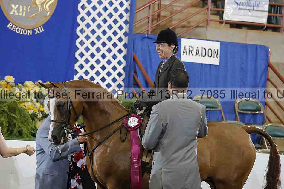 Proof 13r12_7085