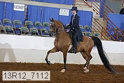 13r12_7112 proof