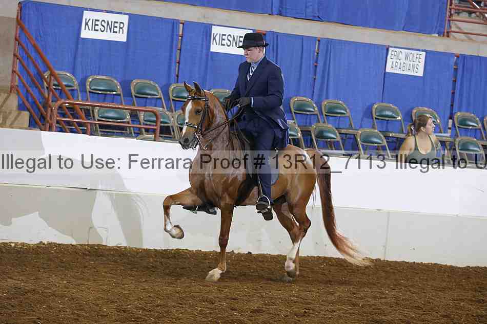 Proof 13r12_7113