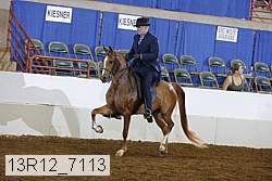 13r12_7113 proof