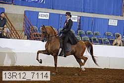 13r12_7114 proof