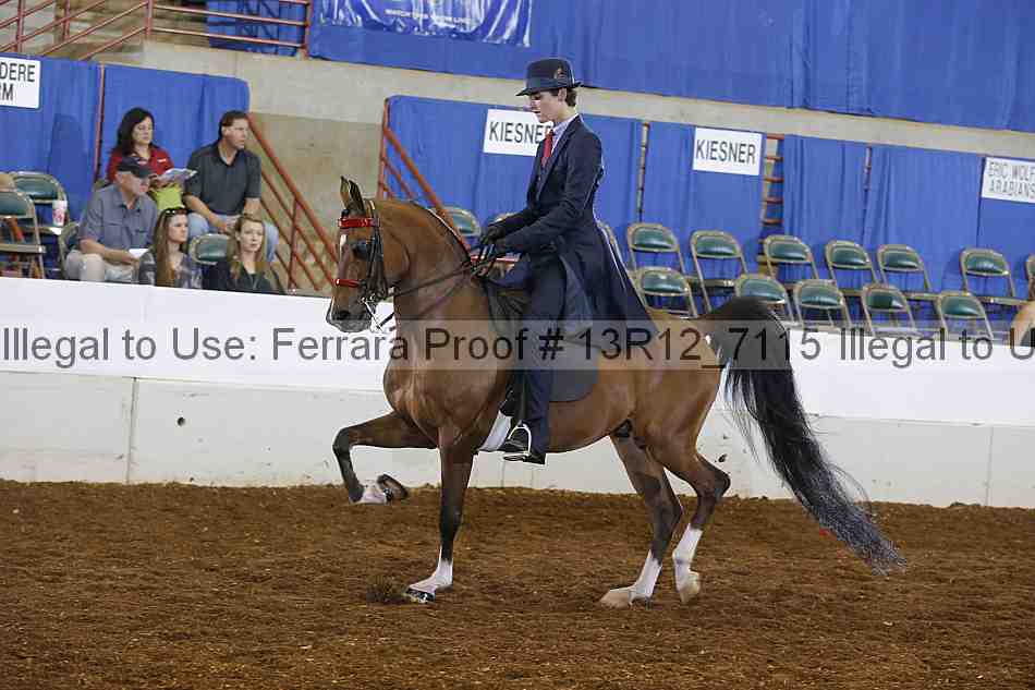Proof 13r12_7115