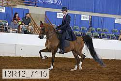 13r12_7115 proof