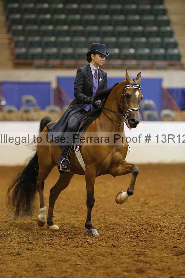 Proof 13r12_7116