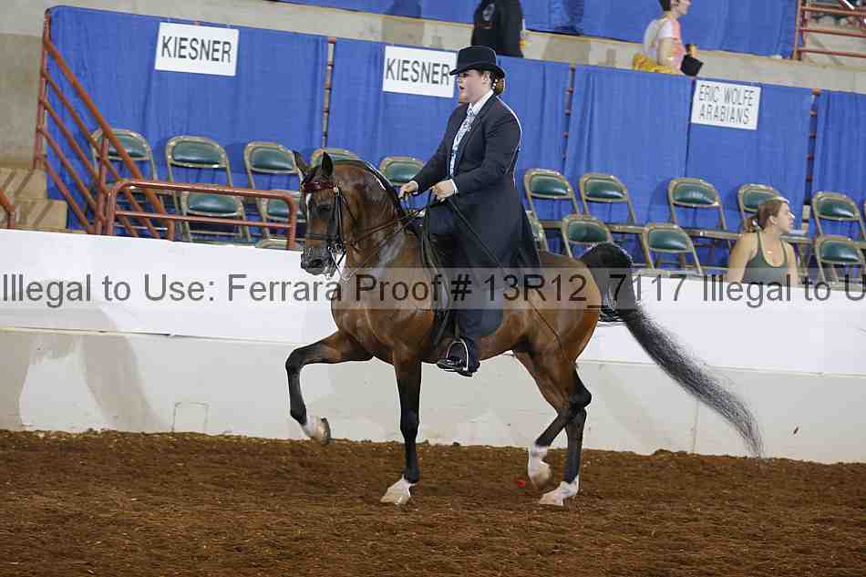 Proof 13r12_7117