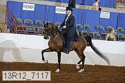 13r12_7117 proof