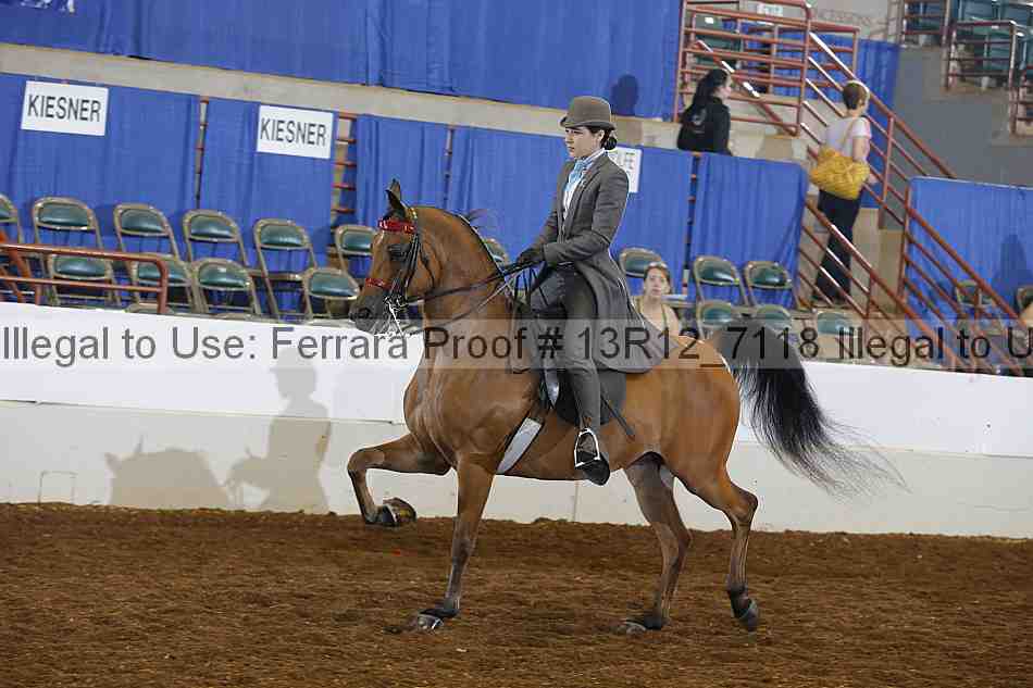 Proof 13r12_7118