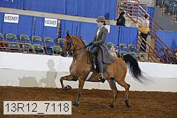 13r12_7118 proof