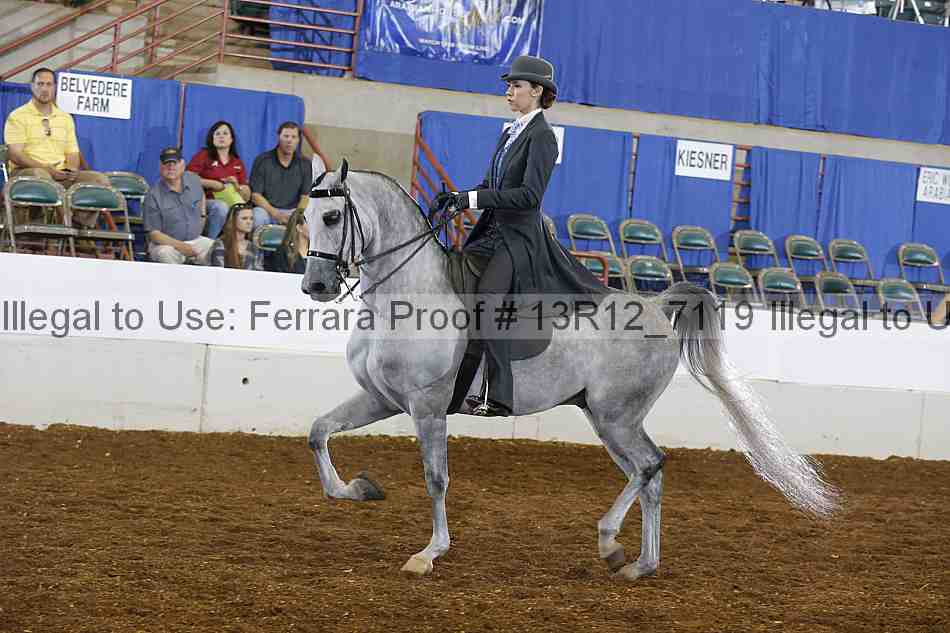 Proof 13r12_7119