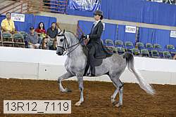 13r12_7119 proof