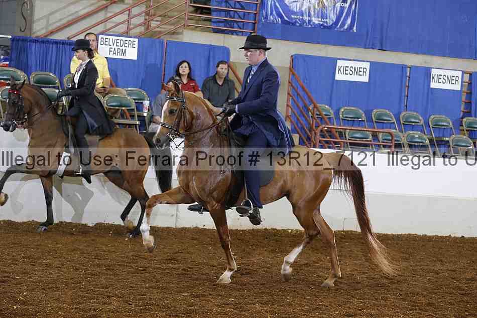 Proof 13r12_7121