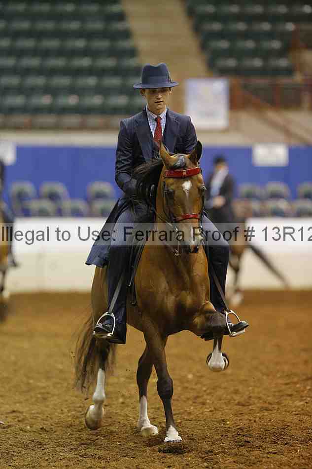 Proof 13r12_7123