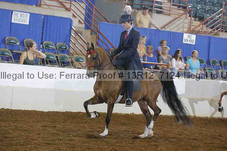 Proof 13r12_7124