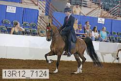 13r12_7124 proof