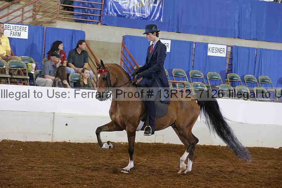Proof 13r12_7126