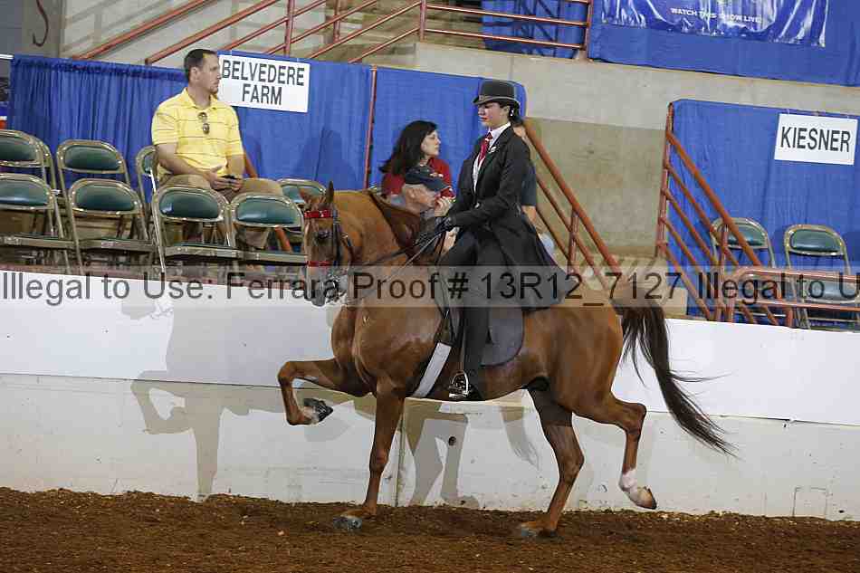 Proof 13r12_7127
