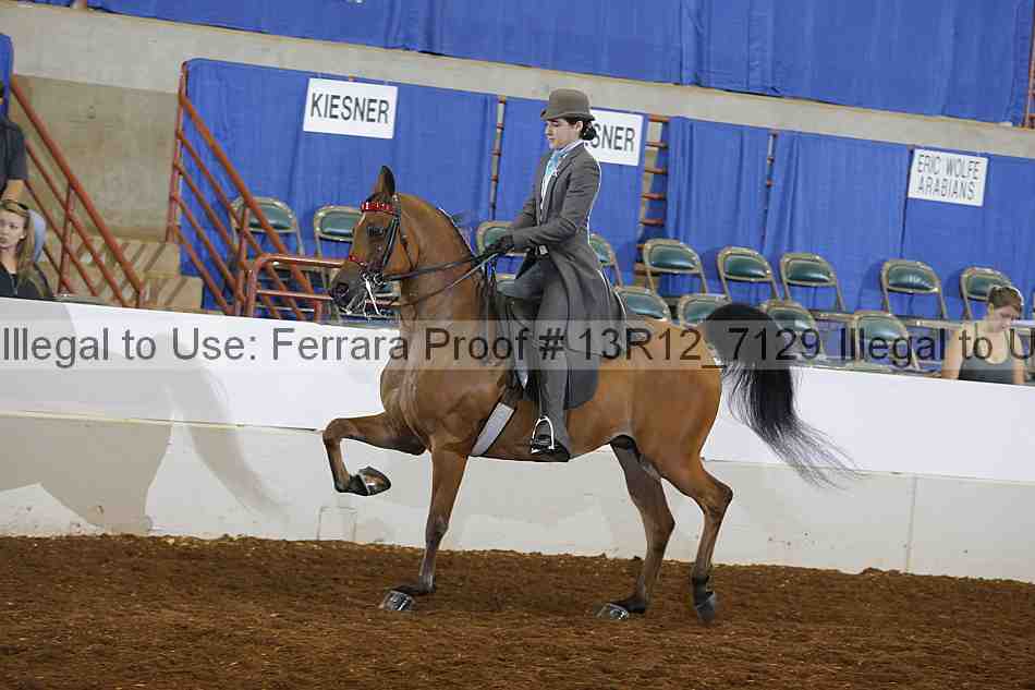 Proof 13r12_7129